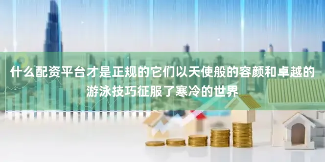 什么配资平台才是正规的它们以天使般的容颜和卓越的游泳技巧征服了寒冷的世界