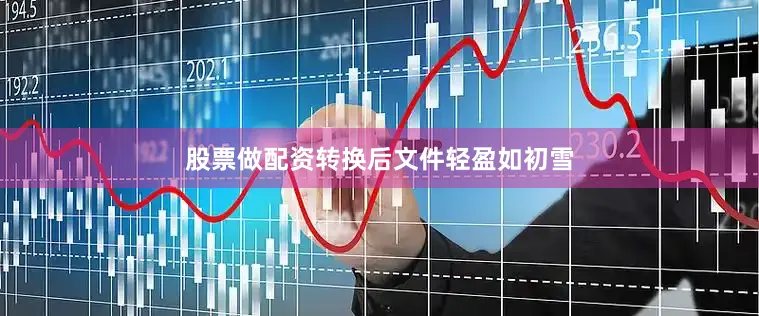 股票做配资转换后文件轻盈如初雪