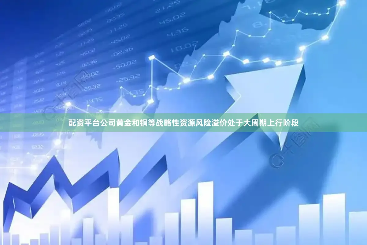 配资平台公司黄金和铜等战略性资源风险溢价处于大周期上行阶段