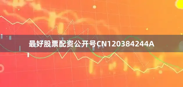 最好股票配资公开号CN120384244A