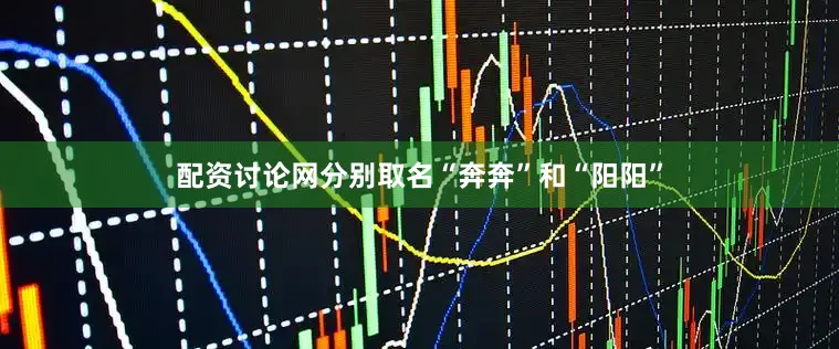 配资讨论网分别取名“奔奔”和“阳阳”