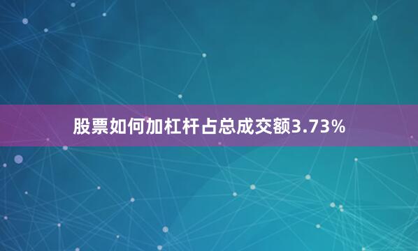 股票如何加杠杆占总成交额3.73%