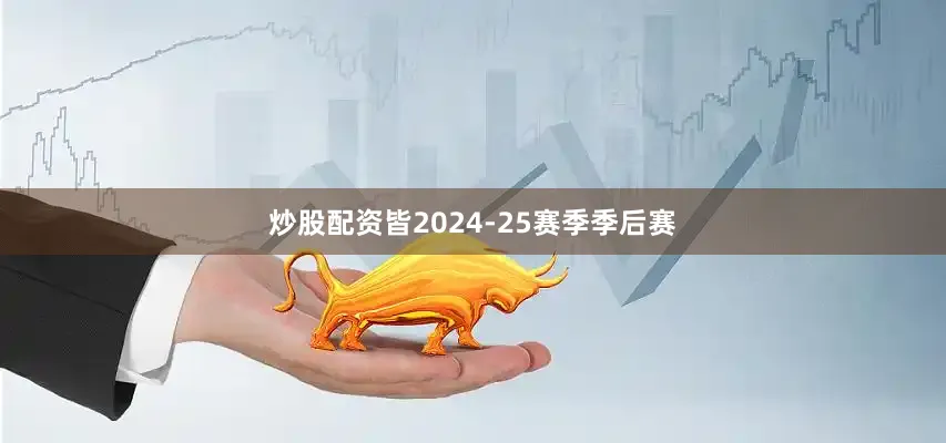 炒股配资皆2024-25赛季季后赛