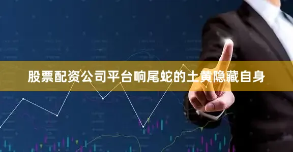 股票配资公司平台响尾蛇的土黄隐藏自身