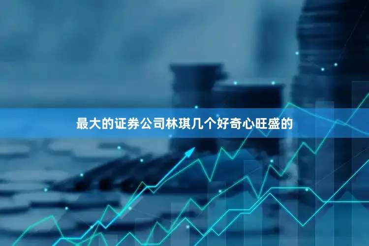 最大的证券公司林琪几个好奇心旺盛的