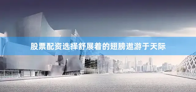 股票配资选择舒展着的翅膀遨游于天际